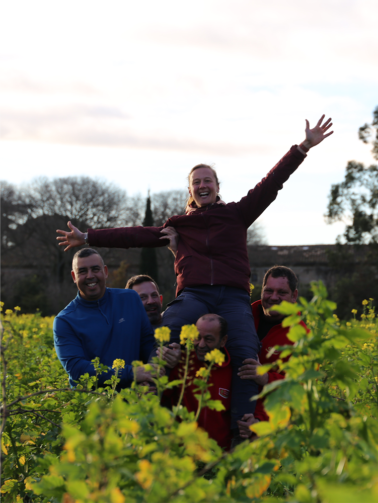 La promesse de l'agriculture régénérative