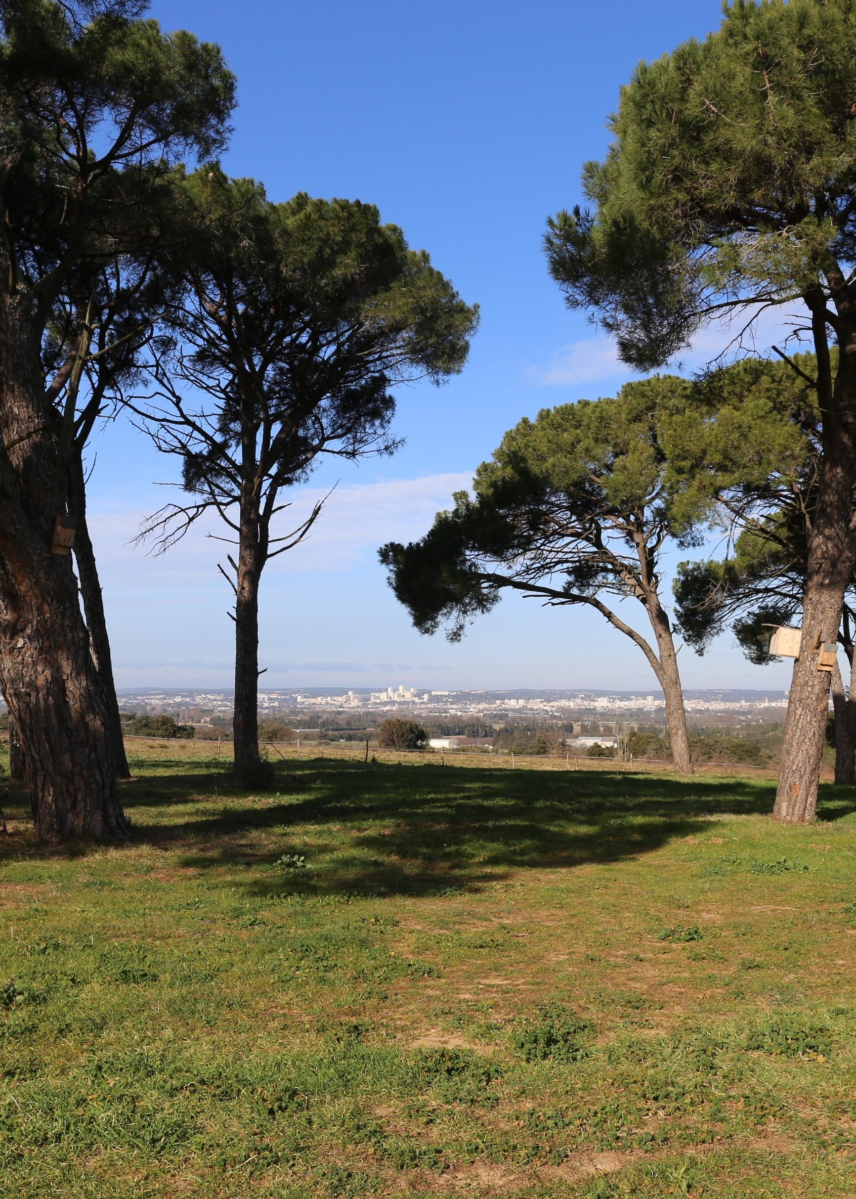 Un parcours découverte pour 2023.