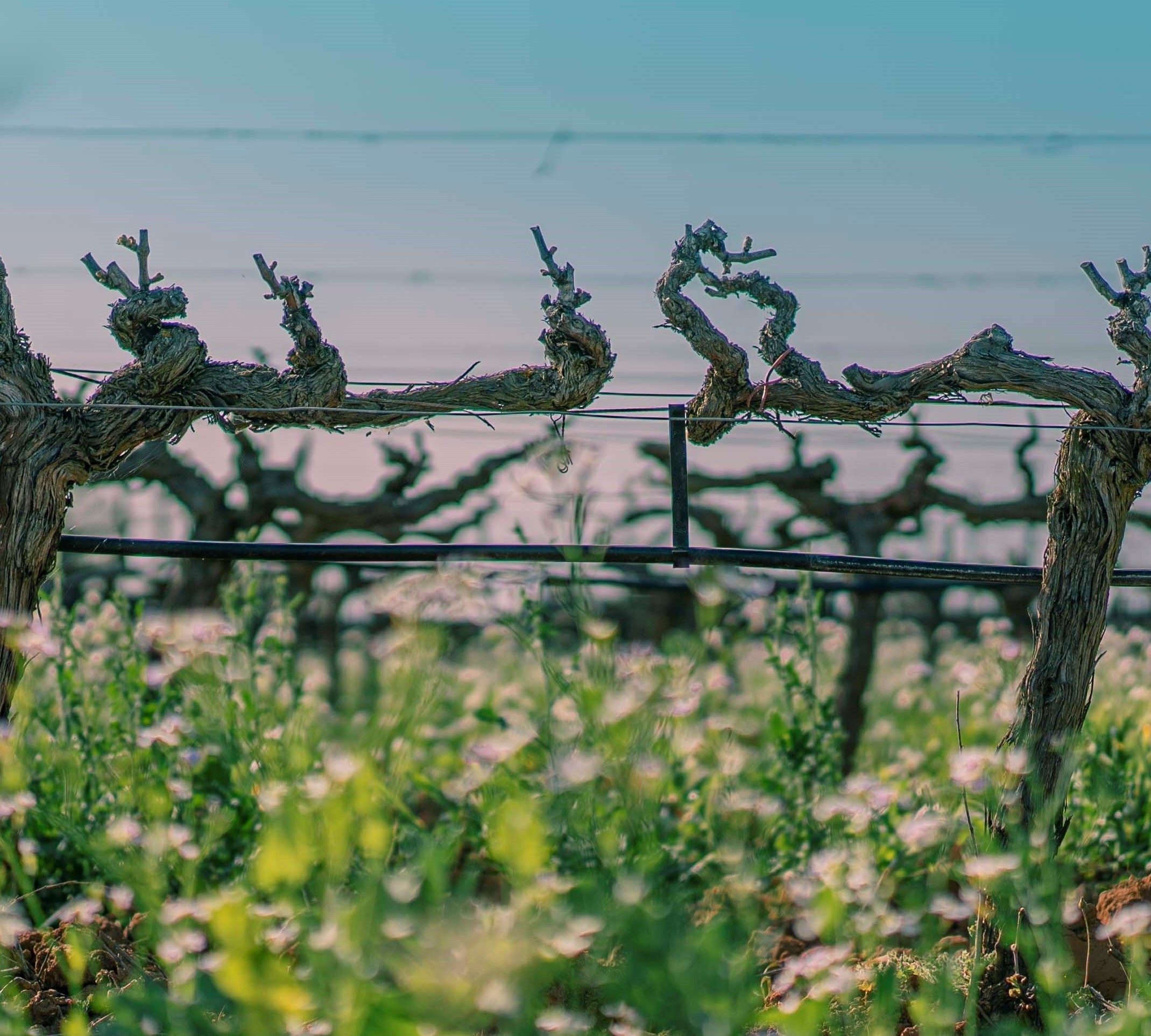 Et la terre répondit...