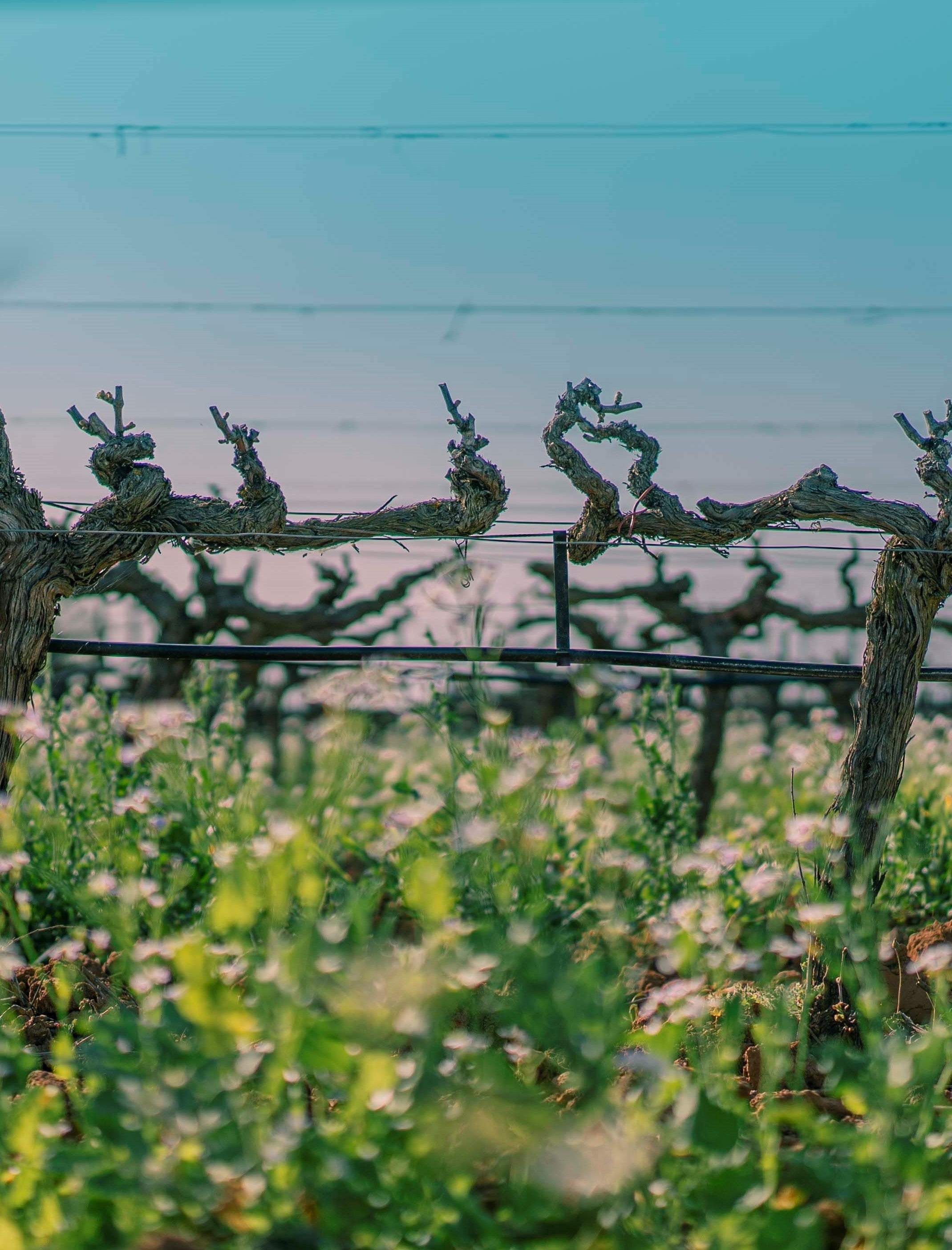 Et la terre répondit...
