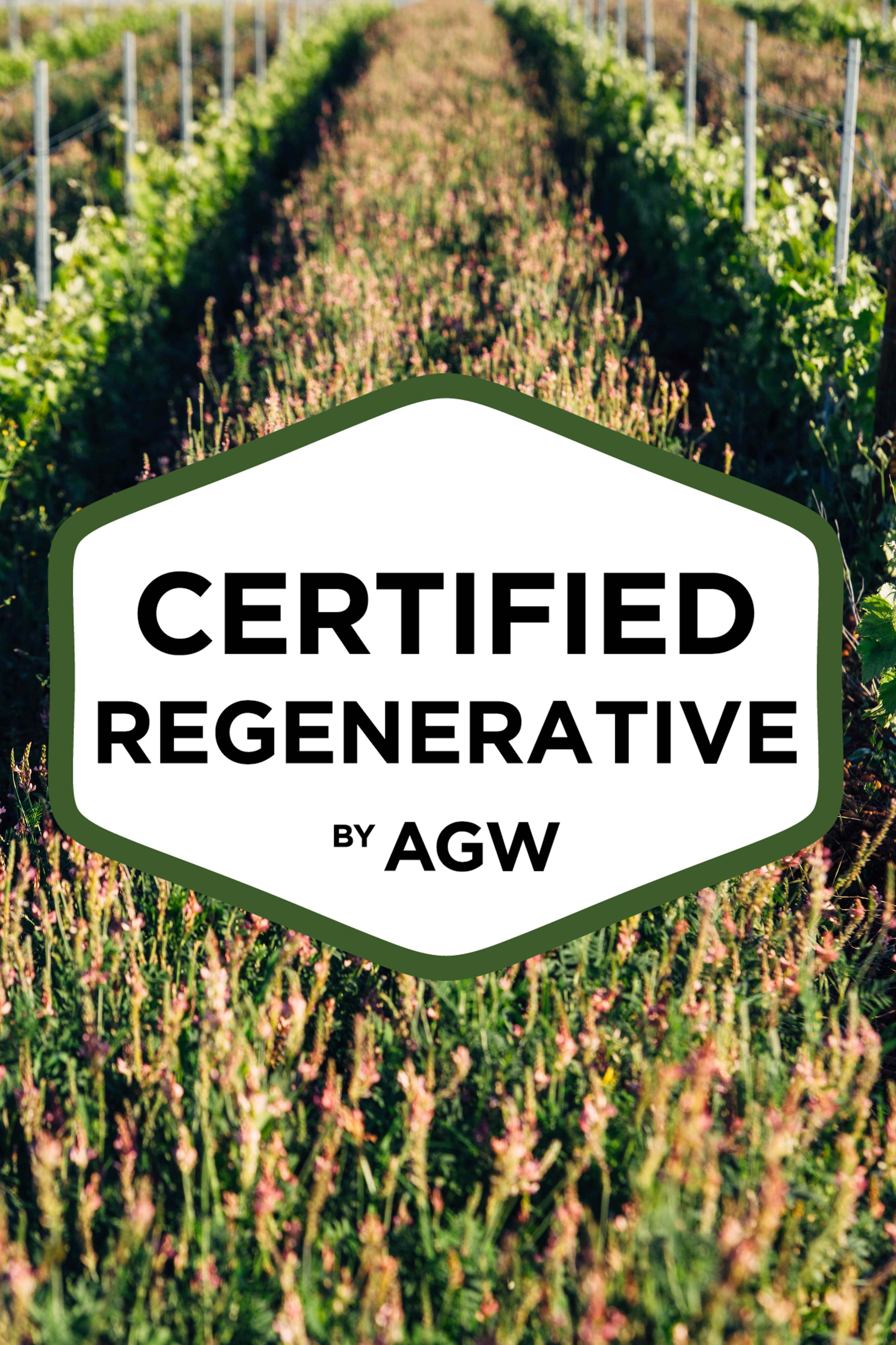 La première certification en agriculture régénérative viticole de France