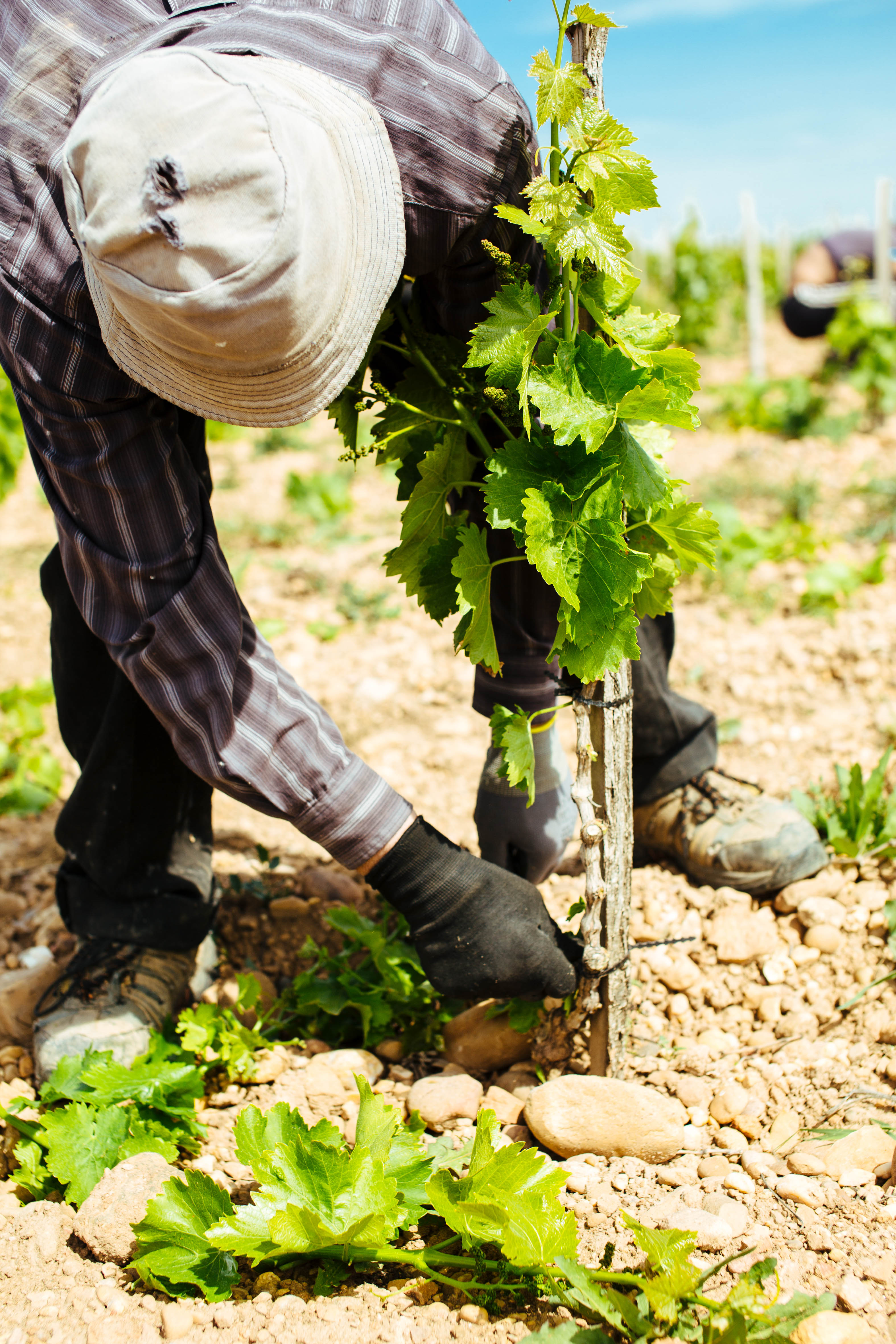 La protection de nos sols, tous ensemble !